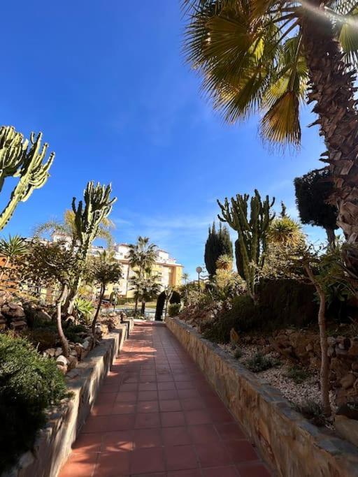 דירות לה קאלה דה מיחאס Jardin Botanico מראה חיצוני תמונה